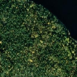 Satellite imagery of Ridanniemi, FI