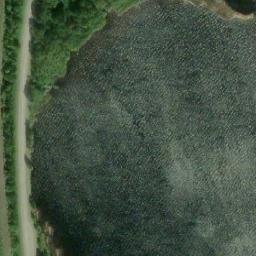 Satellite imagery of Likoniemi, FI