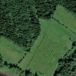 Satellite imagery of Pippuri, FI