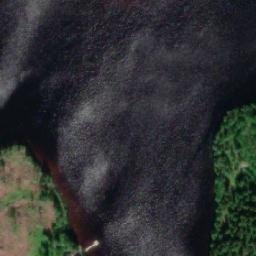Satellite imagery of Rasiniemi, FI