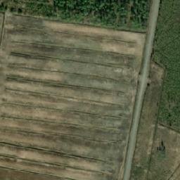 Satellite imagery of Leppäharju, FI