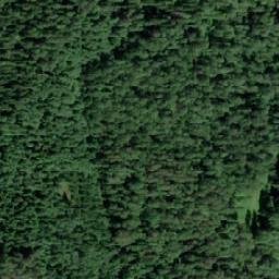 Satellite imagery of Sääskiniemi, FI
