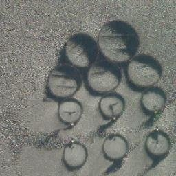 Satellite imagery of Buskeneset, NO