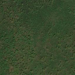 Satellite imagery of Mount Watson, CA