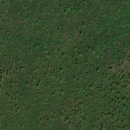 Satellite imagery of Mount Watson, CA