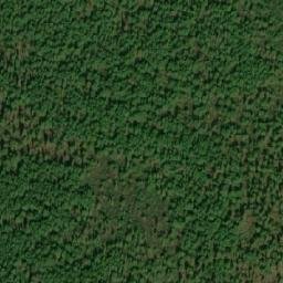 Satellite imagery of Mount Watson, CA