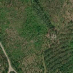 Satellite imagery of Salmiharju, FI