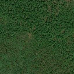 Satellite imagery of Mount Watson, CA