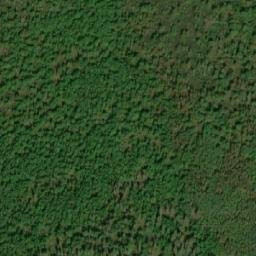 Satellite imagery of Mount Watson, CA