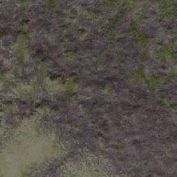 Satellite imagery of Selwyn Dome, CA