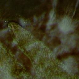 Satellite imagery of Takaniemi, FI