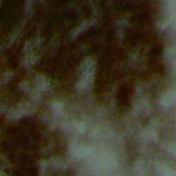 Satellite imagery of Takaniemi, FI