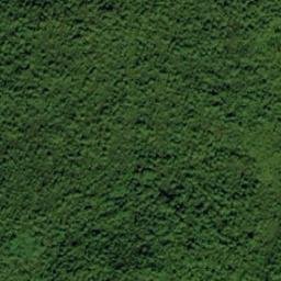 Satellite imagery of Mount Scottie, CA