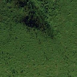 Satellite imagery of Mount Scottie, CA