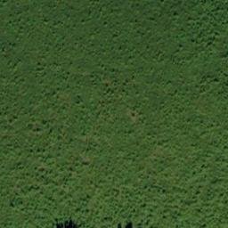 Satellite imagery of Mount Scottie, CA