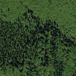 Satellite imagery of Mount Scottie, CA