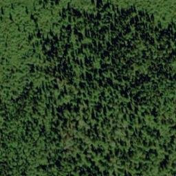 Satellite imagery of Mount Scottie, CA