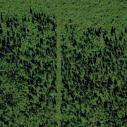 Satellite imagery of Mount Scottie, CA