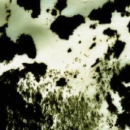 Satellite imagery of Vasslihammaren, NO