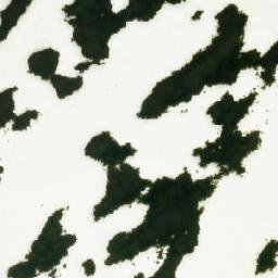 Satellite imagery of Fjellreva, NO