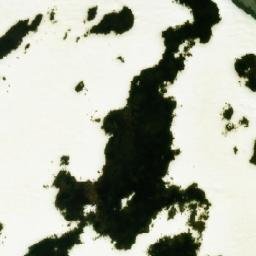 Satellite imagery of Fjellreva, NO