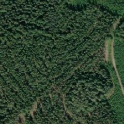 Satellite imagery of Isännänniemi, FI