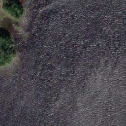Satellite imagery of Savonniemi, FI