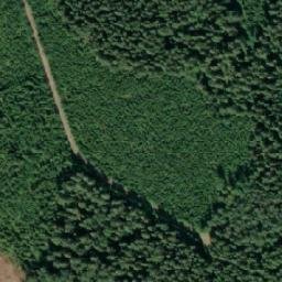 Satellite imagery of Isännänniemi, FI