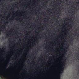 Satellite imagery of Selkärannanniemi, FI