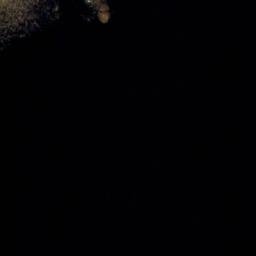 Satellite imagery of Halkoniemi, FI