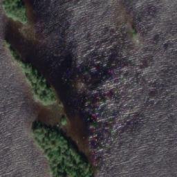 Satellite imagery of Törsänniemi, FI