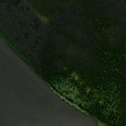 Satellite imagery of Pienisaari, FI