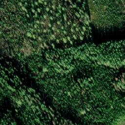 Satellite imagery of Pilkanniemi, FI