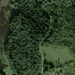 Satellite imagery of Turkkisyvä, FI