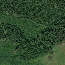 Satellite imagery of Kansaharjunniemi, FI