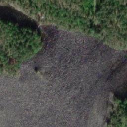 Satellite imagery of Vihvelikkoniemi, FI