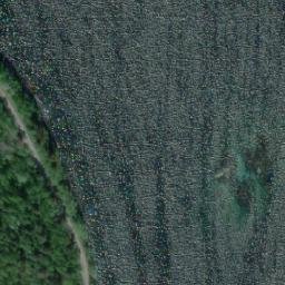 Satellite imagery of Dynneskjera, NO