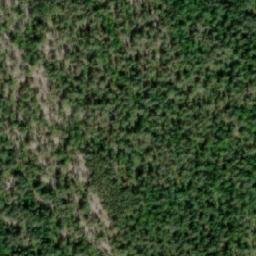 Satellite imagery of Haarasenniemi, FI