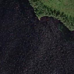 Satellite imagery of Erkinniemi, FI