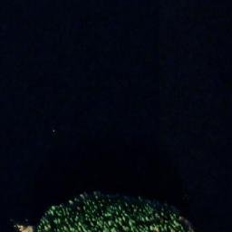 Satellite imagery of Ruunasaari, FI