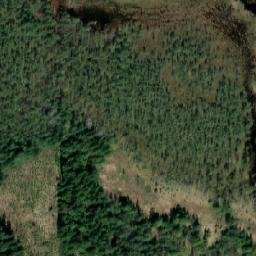 Satellite imagery of Hongikkoniemi, FI