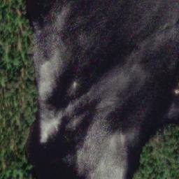 Satellite imagery of Porkanniemi, FI
