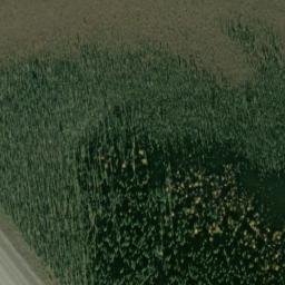 Satellite imagery of N{18}{10}'{18}{10}', CA