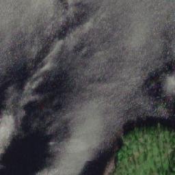 Satellite imagery of Multaniemi, FI