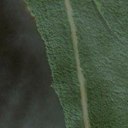 Satellite imagery of Ruohokkoniemi, FI