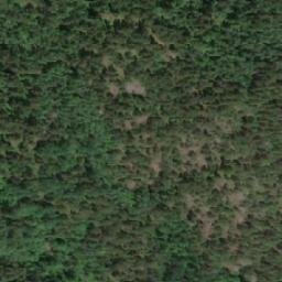 Satellite imagery of Skotsneset, NO