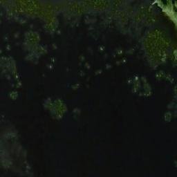 Satellite imagery of Heinäniemi, FI