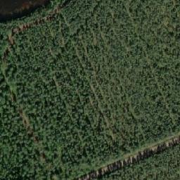 Satellite imagery of Nuuvinniemi, FI
