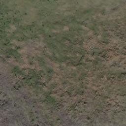 Satellite imagery of Carden Hills, US