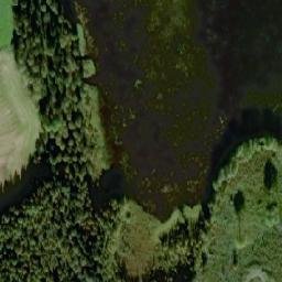 Satellite imagery of Telppäänniemi, FI